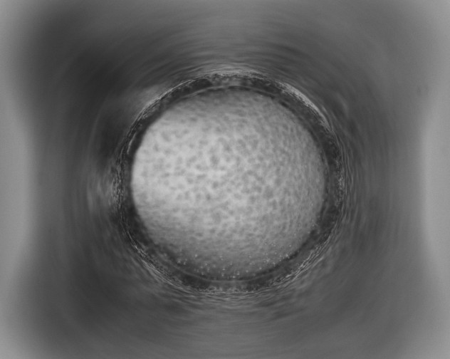 X0000116620775200912181304