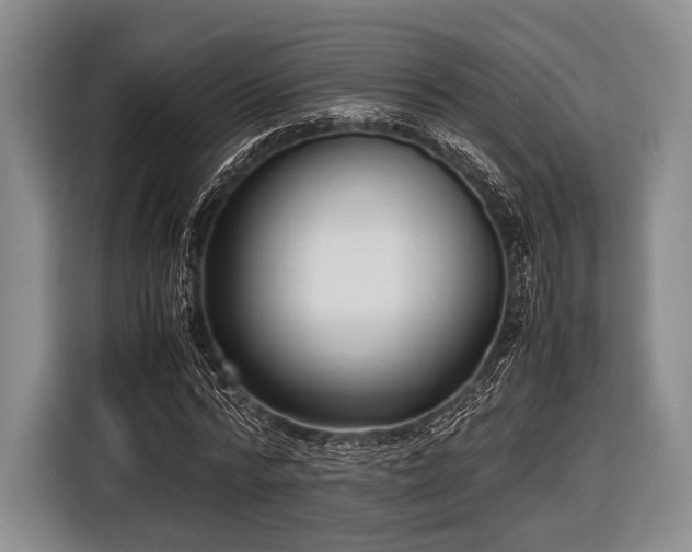 X0000116620776200912181304