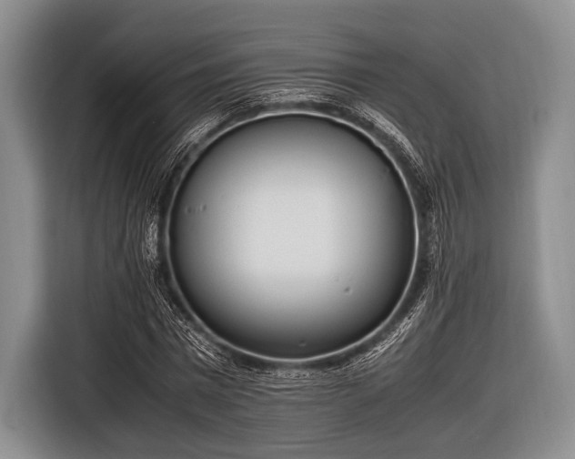 X0000116620777200912181304