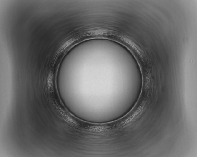 X0000116620778200912181304