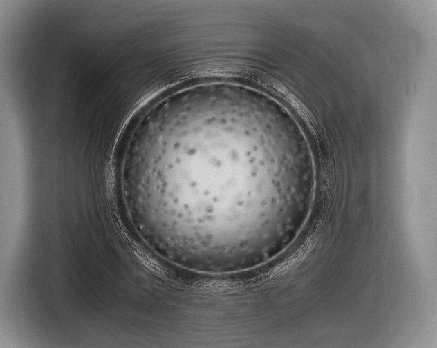 X0000116620779200912181304