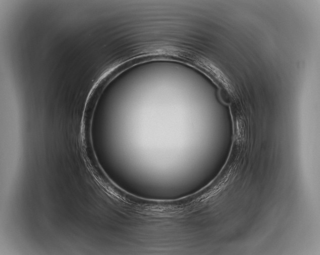 X0000116620780200912181304