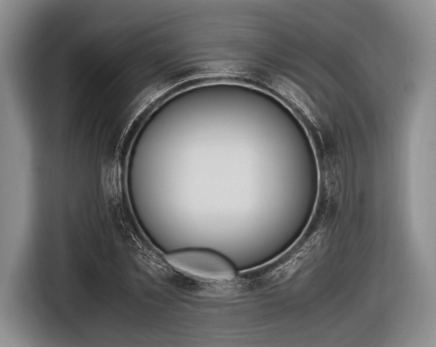 X0000116620781200912181304