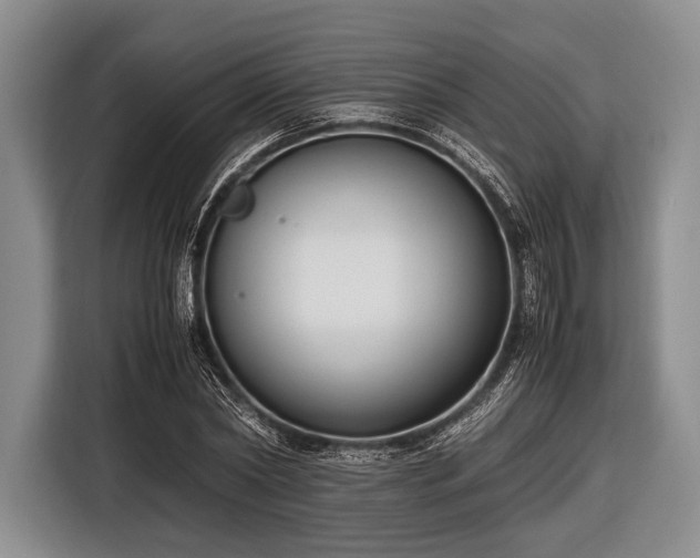 X0000116620782200912181304