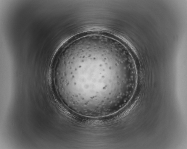 X0000116620783200912181304