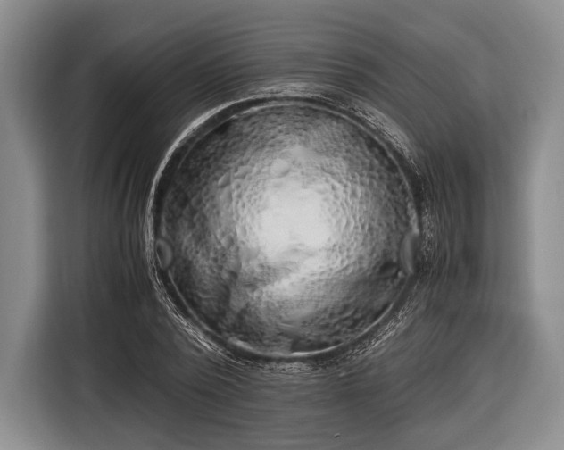 X0000116620784200912181304