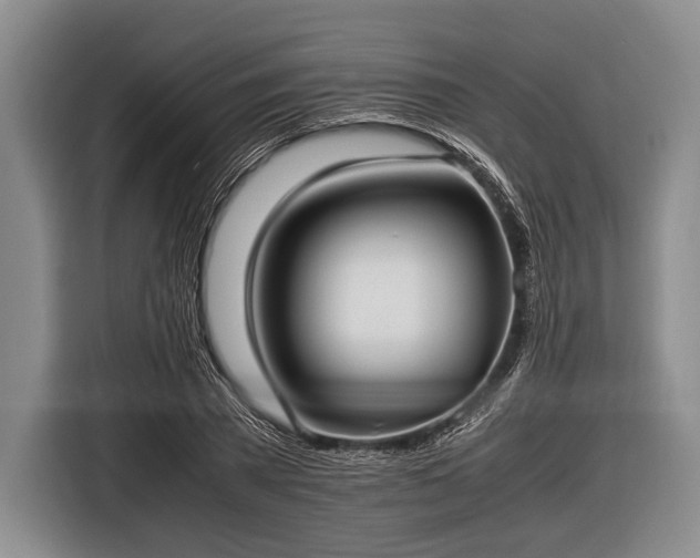 X0000116620785200912181304