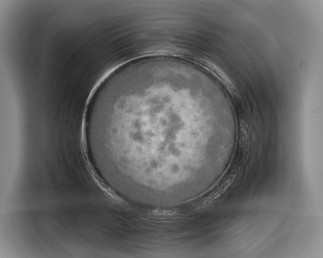 X0000116620788200912181304