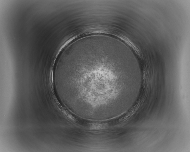 X0000116620790200912181304