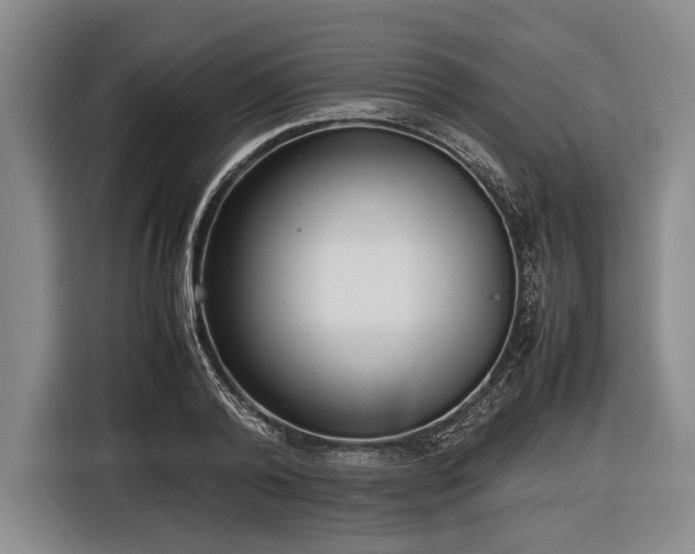 X0000116620792200912181304