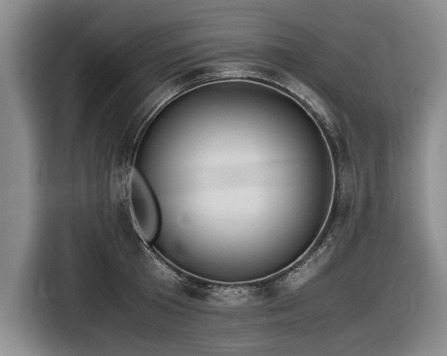 X0000116620801200912181304