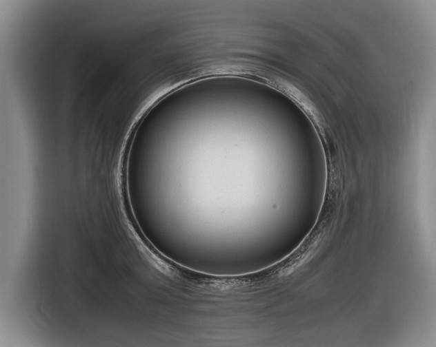 X0000116620803200912181304