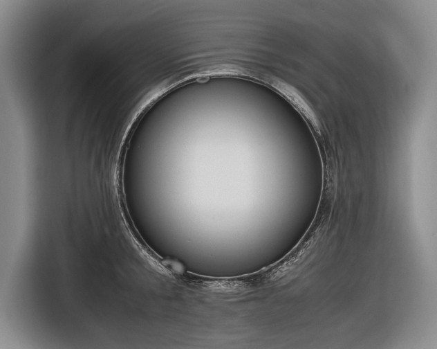 X0000116620805200912181304