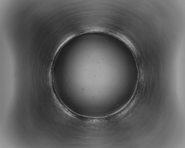 X0000116620806200912181304