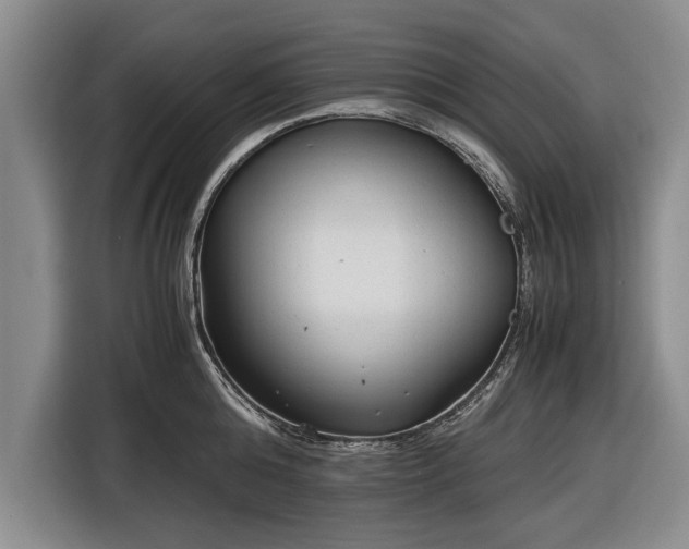 X0000116620808200912181304