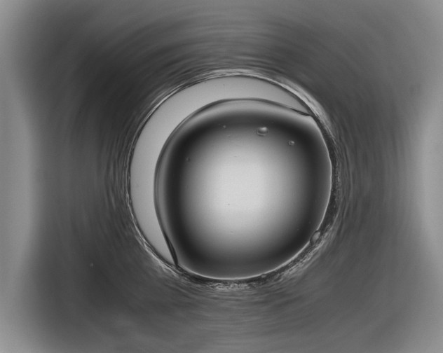 X0000116620809200912181304