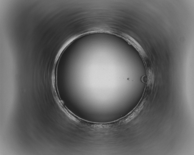 X0000116620812200912181304