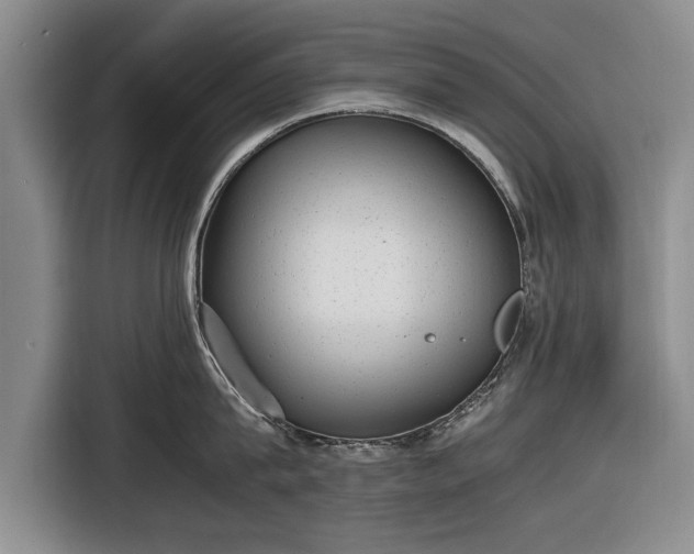 X0000116620815200912181303