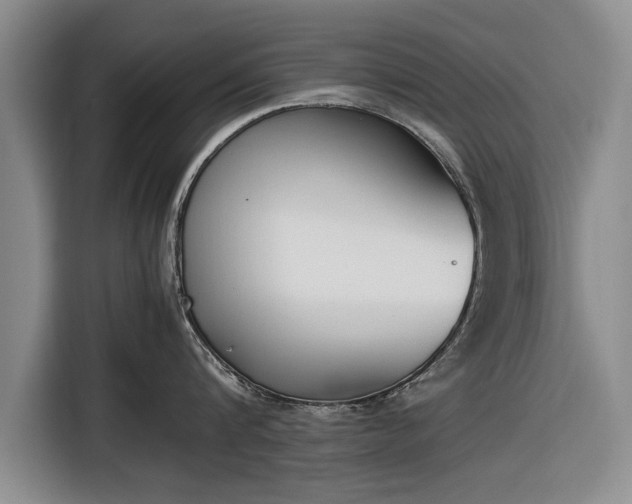 X0000116620816200912181303