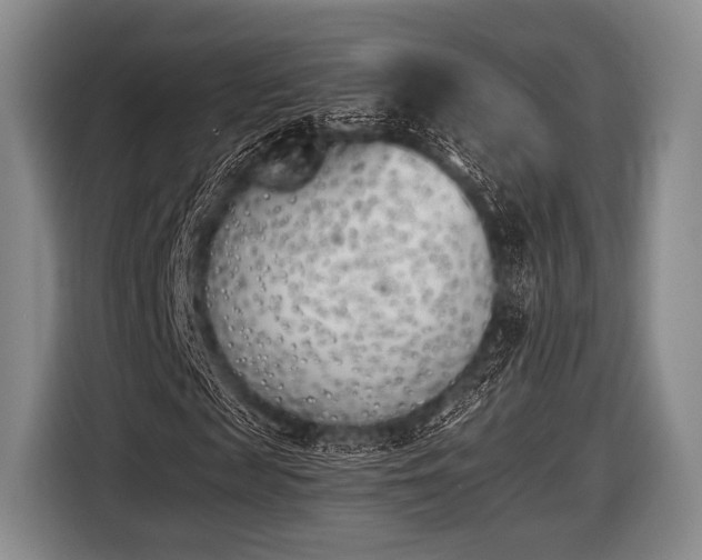 X0000116620817200912181303
