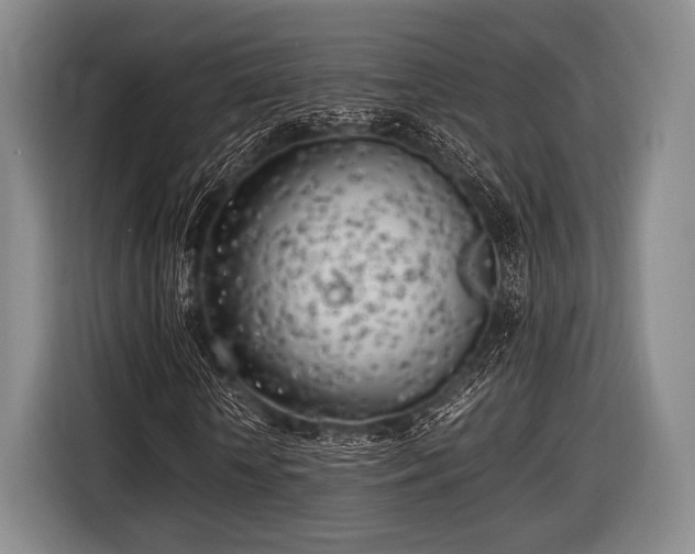 X0000116620818200912181303