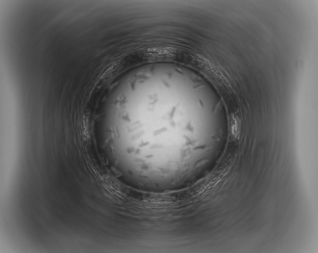 X0000116620819200912181303
