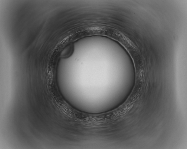 X0000116620821200912181303