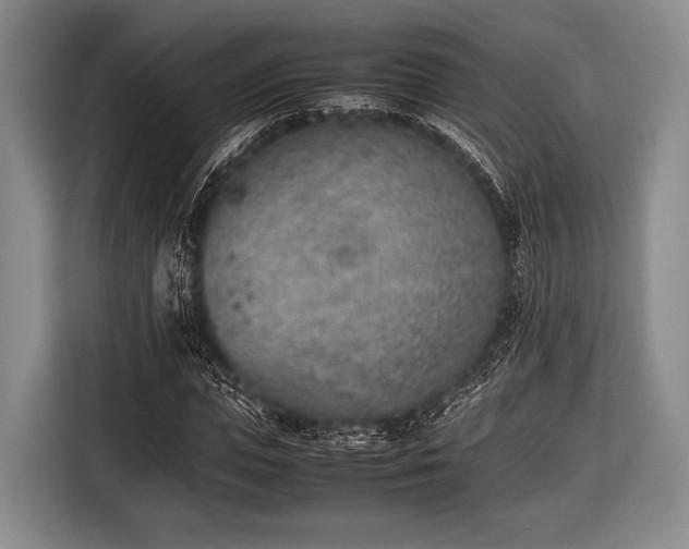 X0000116620823200912181303