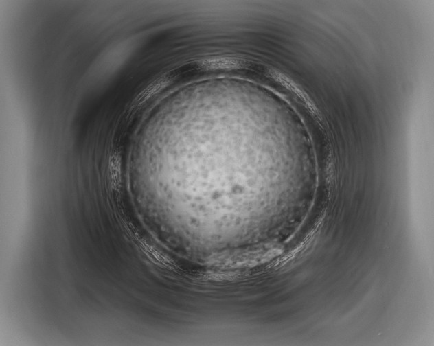X0000116620825200912181303