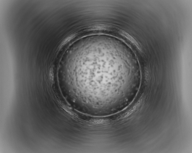 X0000116620826200912181303