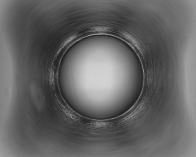 X0000116620827200912181303