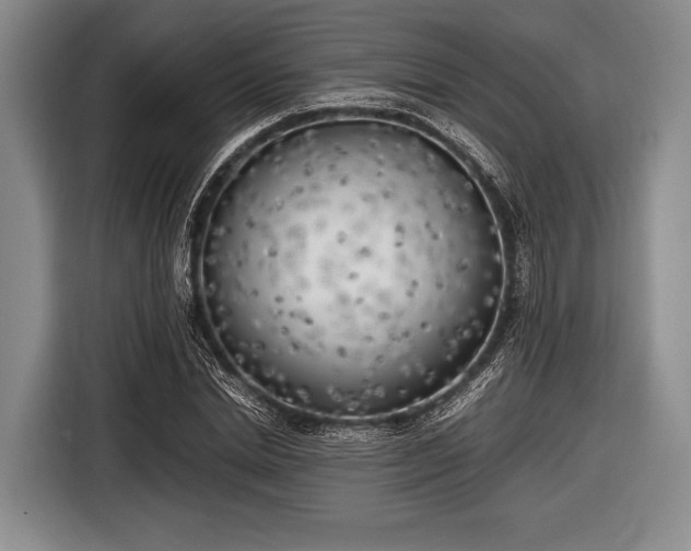 X0000116620830200912181303