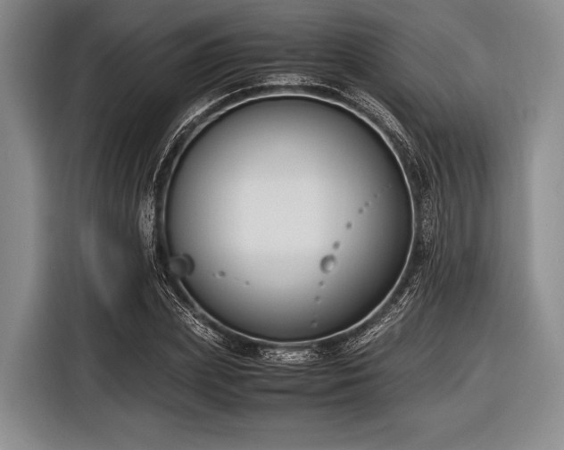 X0000116620831200912181303