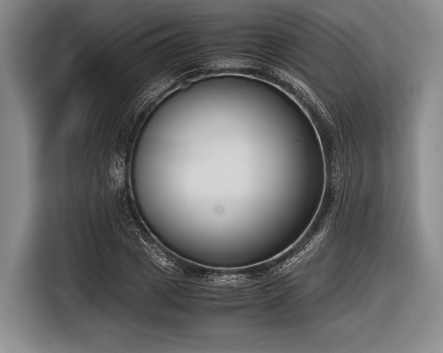 X0000116620833200912181303