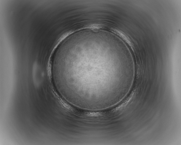 X0000116620835200912181303