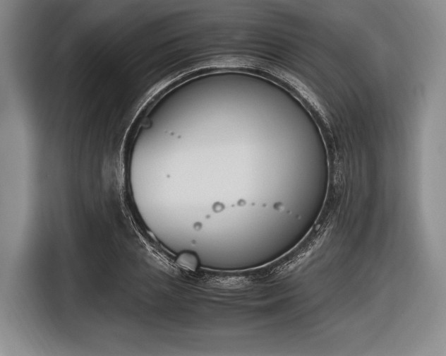 X0000116620837200912181303