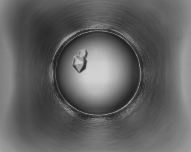 X0000116620838200912181303