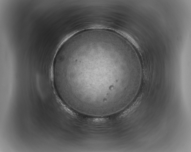 X0000116620839200912181303