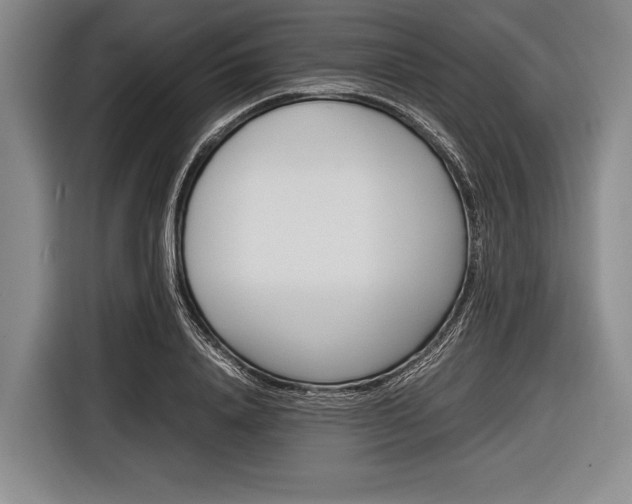 X0000116620840200912181303