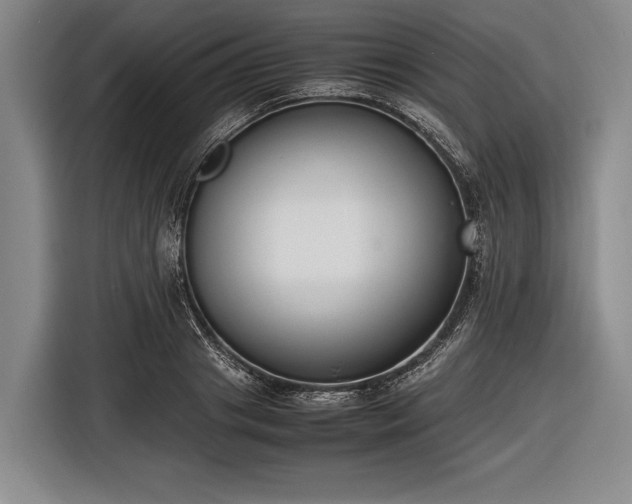 X0000116620841200912181303