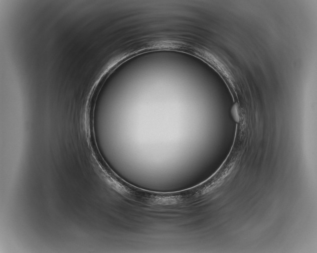 X0000116620843200912181303