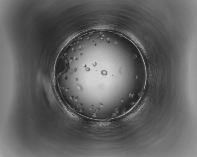 X0000116620845200912181303