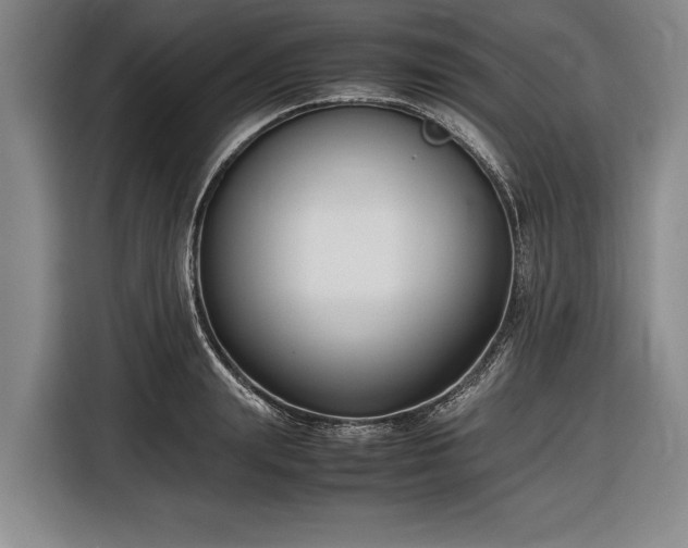 X0000116620847200912181303