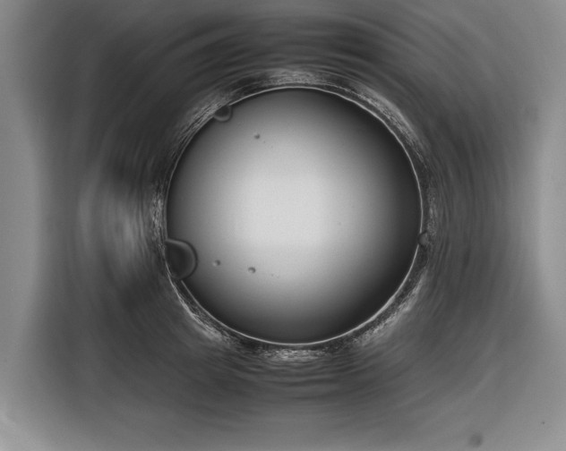 X0000116620849200912181303