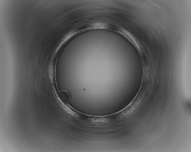 X0000116620851200912181303