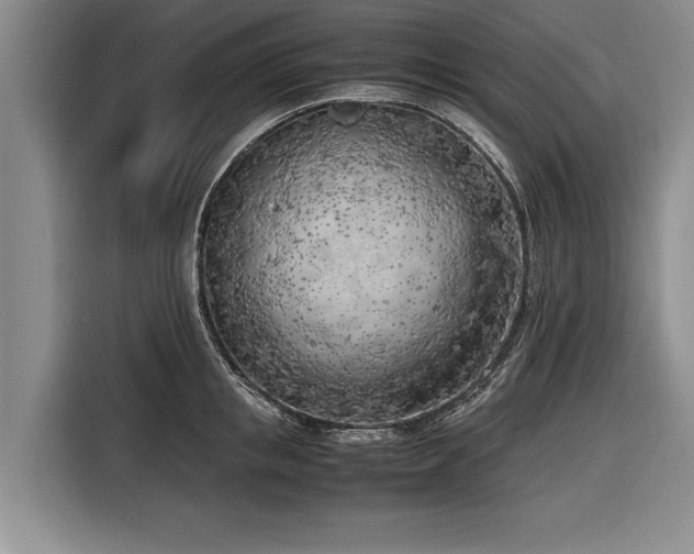 X0000116620853200912181303