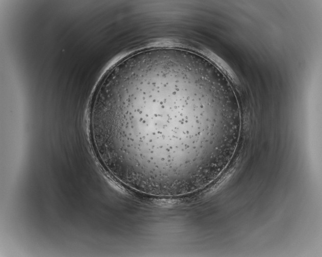 X0000116620854200912181303