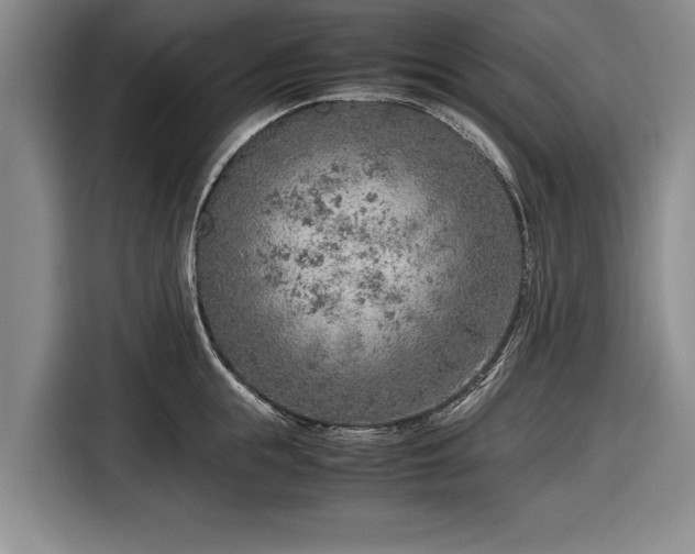 X0000116620855200912181303