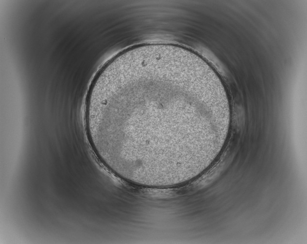 X0000116620856200912181303