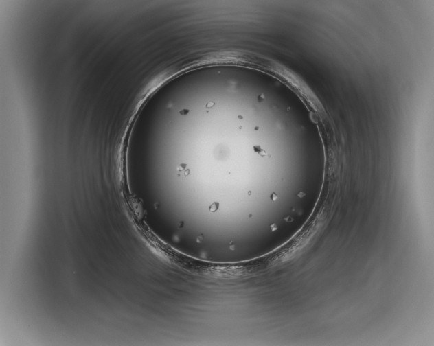 X0000116620858200912181303